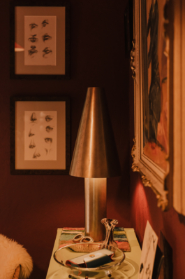  ZASOBY STUDIO